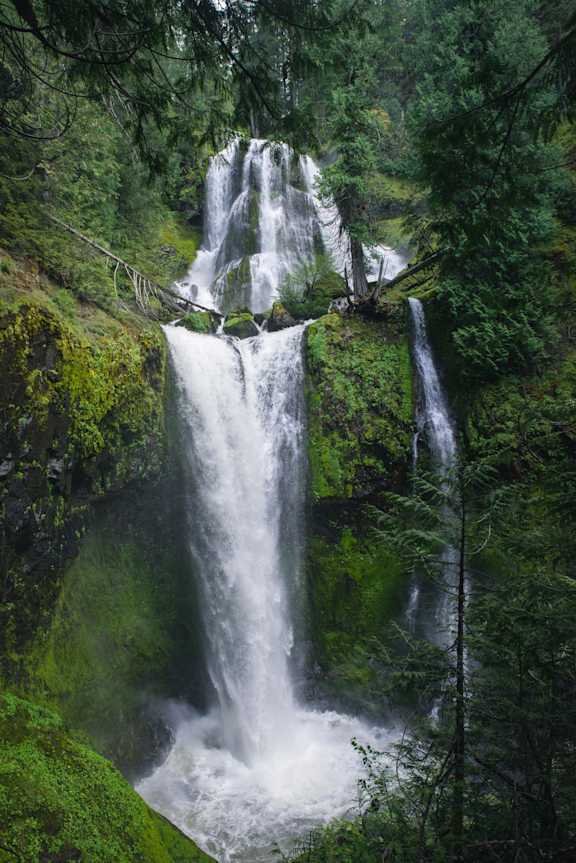 a waterfall in the woods