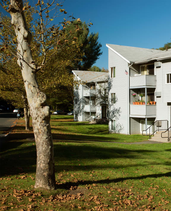 a large white apartment building with a tree in front of it