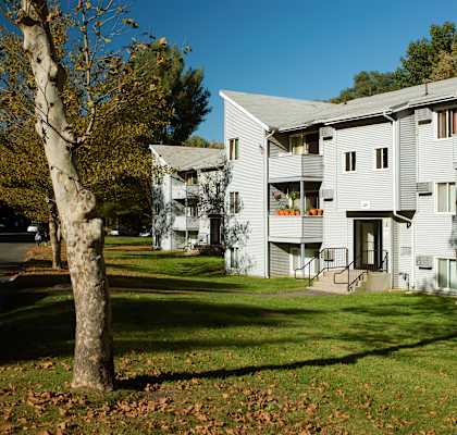 a large white apartment building with a tree in front of it