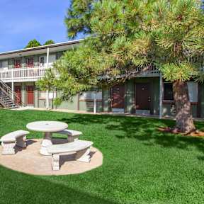 A green building with a tree in front of it.