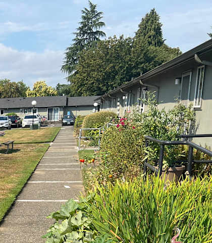 A long concrete walkway separates a grassy area from a row of houses.