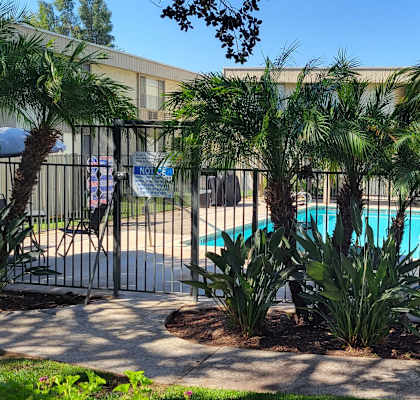 a pool with palm trees in front of a building