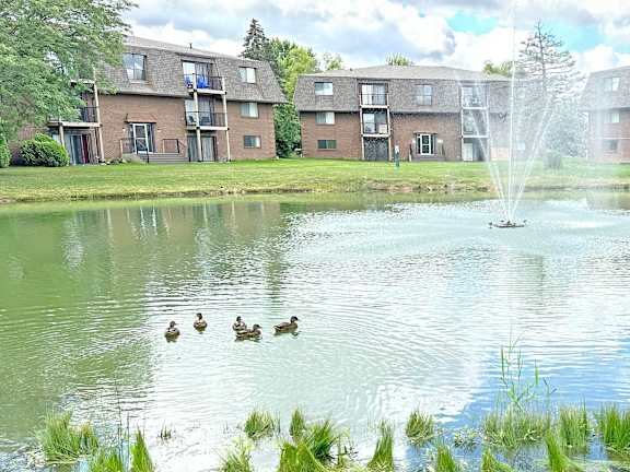 A fountain in the middle of a pond with ducks swimming in it.