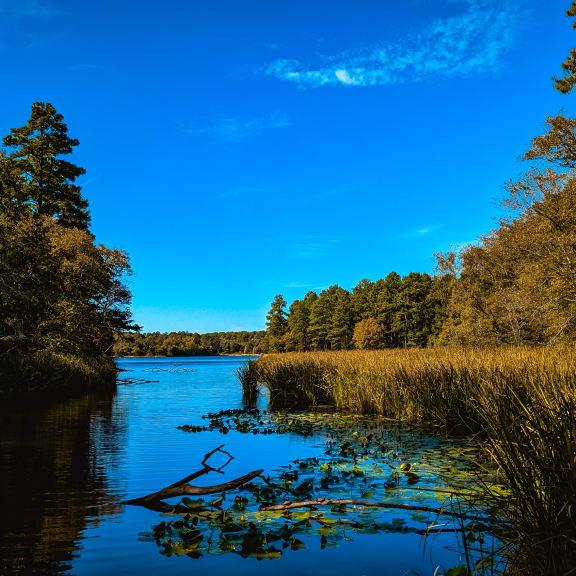 Apartments Tyler, TX The Evergreens