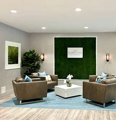 a living room with a green wall and couches