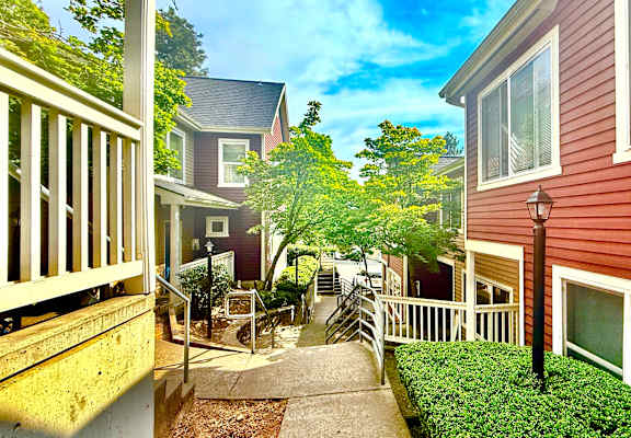 A sunny day in a residential area with houses and greenery.