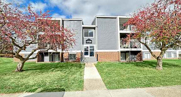 our apartments feature a spacious courtyard with trees and grass