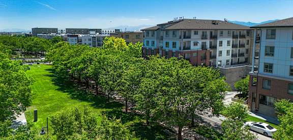 A view of a green lawn with trees and apartment buildings in the background.