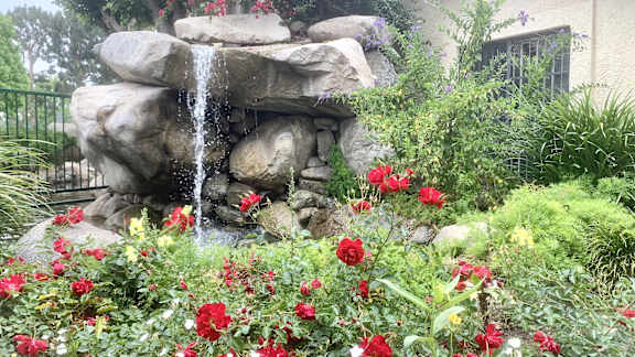 A garden with a waterfall and red flowers.