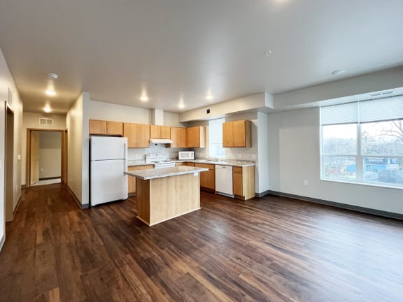 the preserve at ballantyne commons apartment living room and kitchen