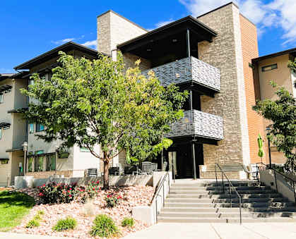 A modern building with a tree in front of it.