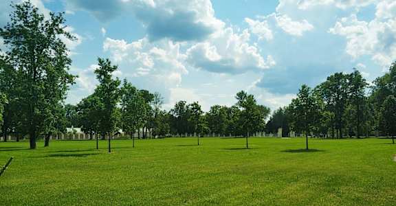 A grassy field with trees and a blue sky with clouds.