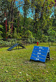 A playground with a slide, swings, and a seesaw in a park.
