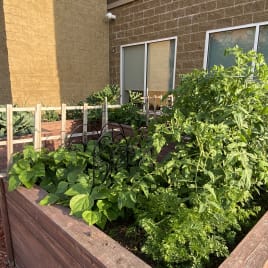 a raised garden bed in front of a brick building