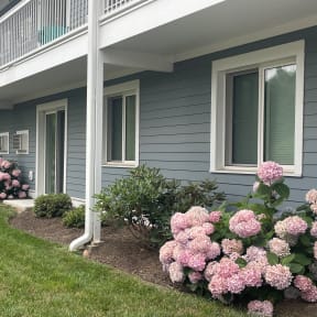 the front of a house with pink and blue flowers