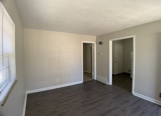 Spacious living room with vinyl flooring