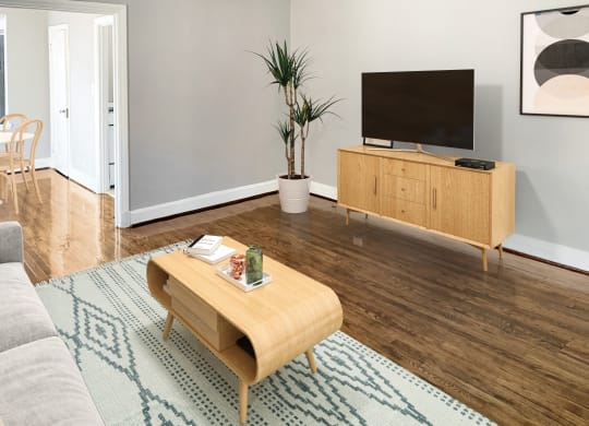 Living Room With TV at Chalfonte, Washington, 20009