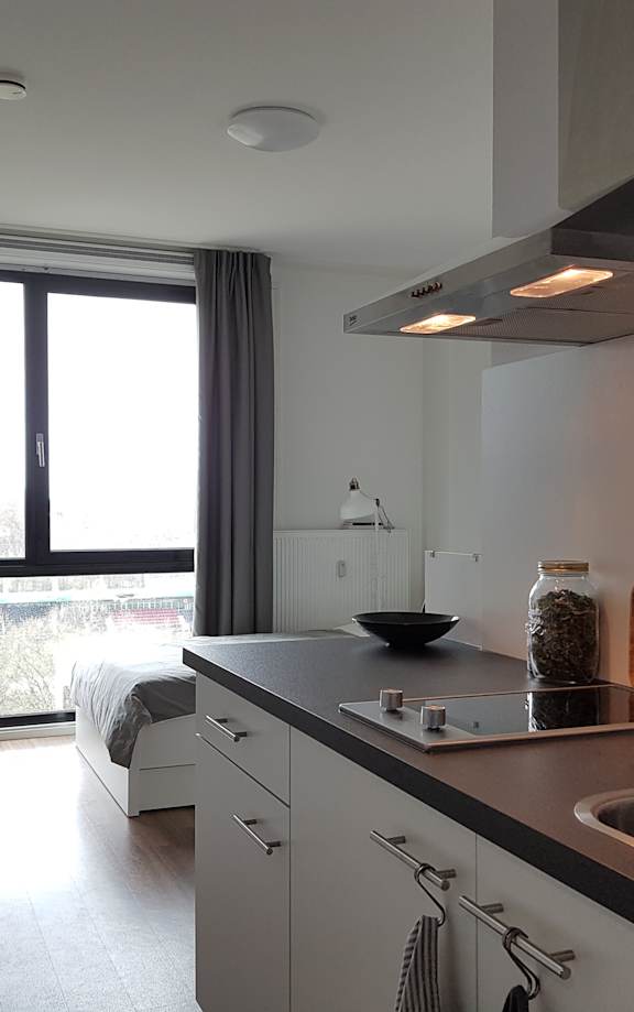 A modern kitchen with a refrigerator, sink, and a window.