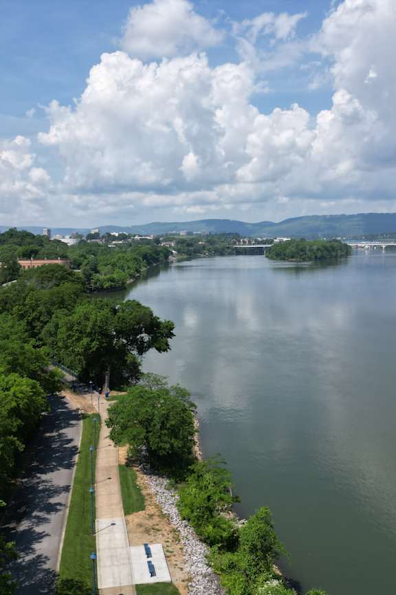 A large body of water surrounded by greenery and a road.