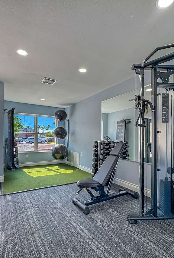 A gym with a variety of equipment including a squat rack and a bench.
