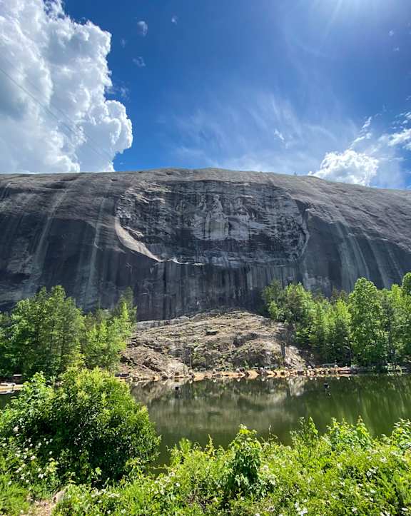 A large, flat, grey rock formation sits in the middle of a green forest.