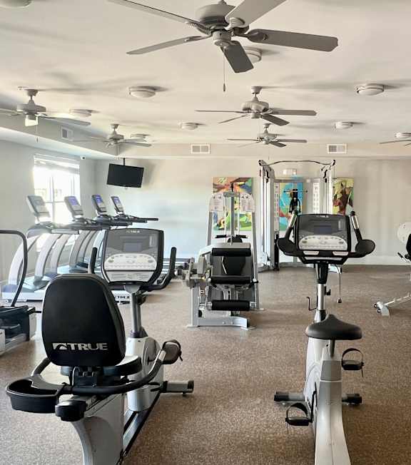 A gym with a variety of exercise equipment including treadmills, stationary bikes, and weight machines.