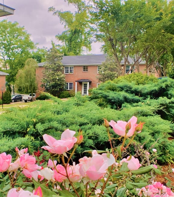 a garden with pink flowers in front of a brick building