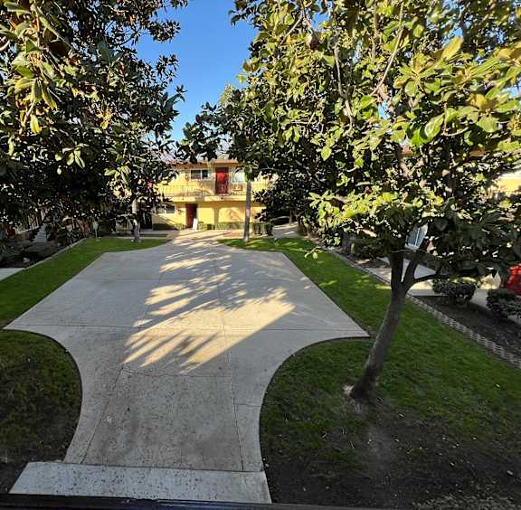 A pathway between two trees with a building in the background.