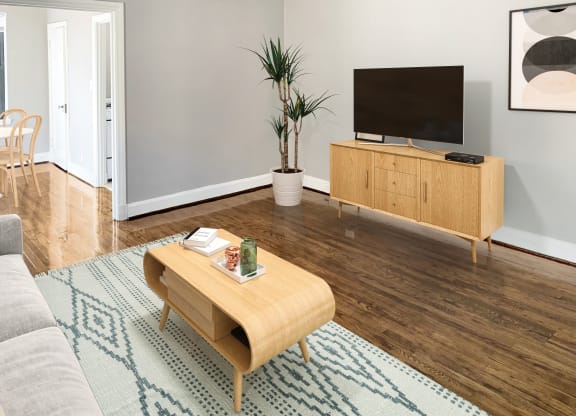 Living Room With TV at Chalfonte, Washington, 20009