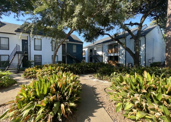 a sidewalk in front of houses with trees and plants