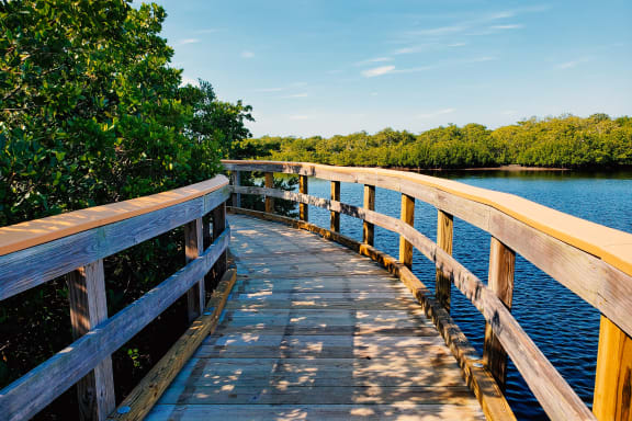 a wooden boardwalk over a body of water with trees in the background at Echo Lake, Florida