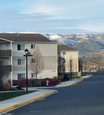 a street in a neighborhood with snow covered mountains in the background