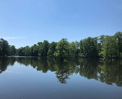 A serene lake surrounded by lush green trees under a clear blue sky.