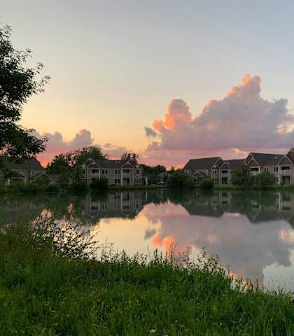 the pond in front of our house at sunset
