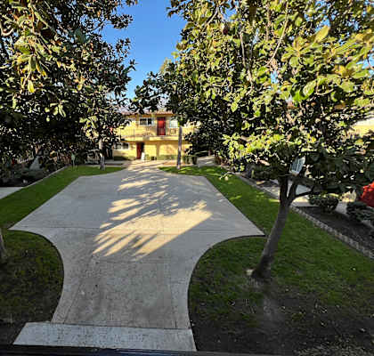 A pathway between two trees with a building in the background.