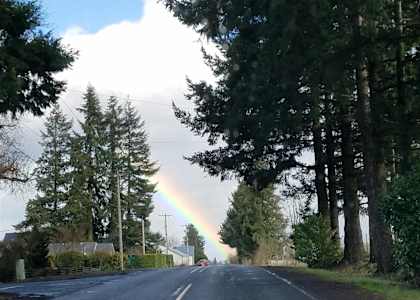 A rainbow appears in the sky over a road with trees on either side.