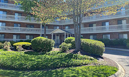 a courtyard with a tree in front of an apartment building