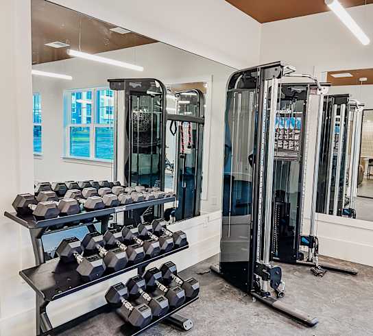 the gym at the house at Hamilton Reserve, Greensboro