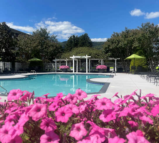 A pool surrounded by pink flowers and green umbrellas.