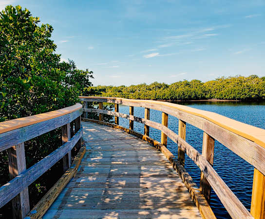 a wooden boardwalk over a body of water with trees in the background