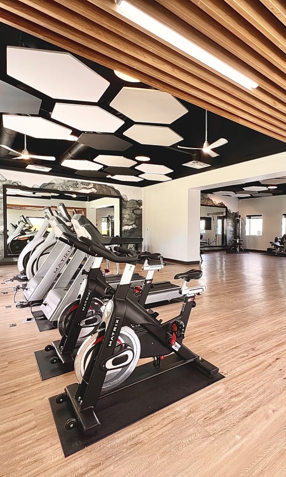 a room filled with lots of different types of exercise bikes