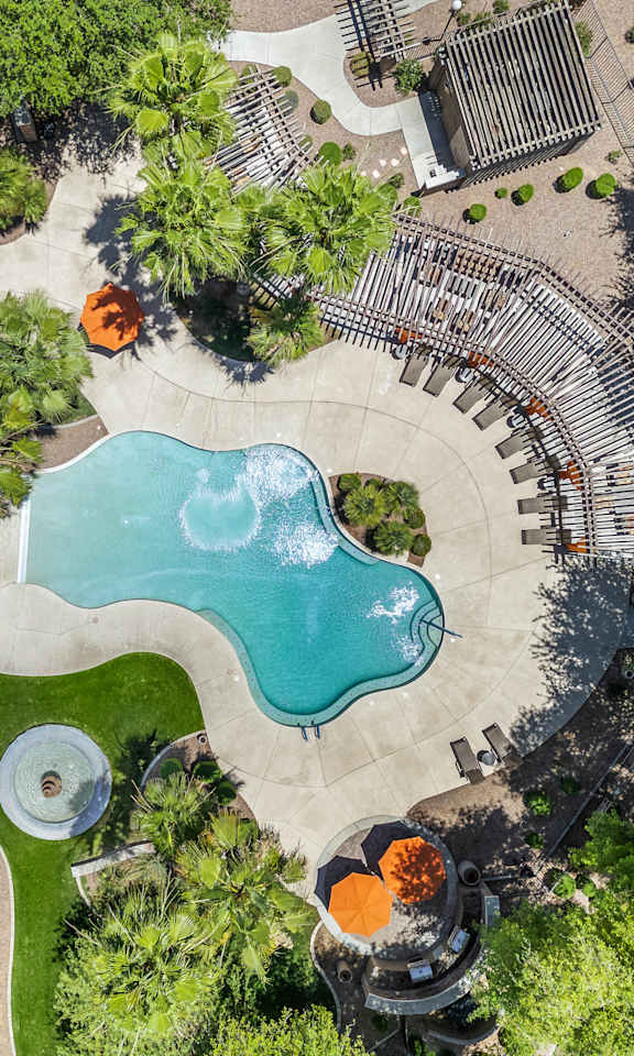 A large outdoor swimming pool surrounded by trees and grass.