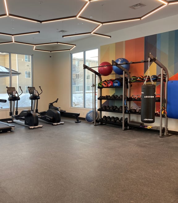 a gym with cardio equipment and weights