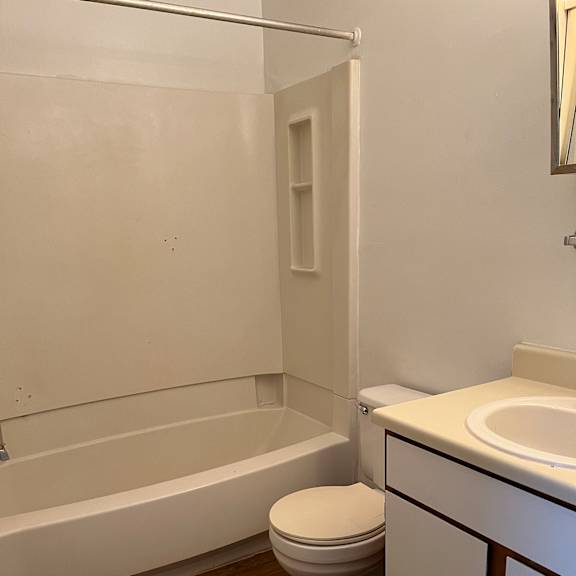 a bathroom with a sink and a toilet and a shower