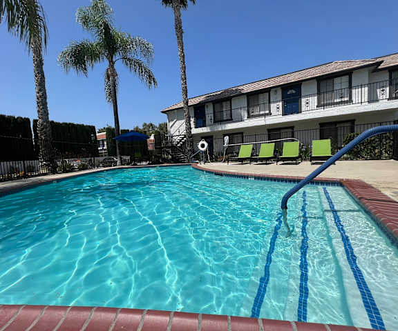 A swimming pool with a blue tiled edge and a red brick border.