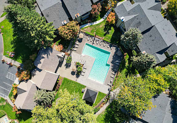 arial view of a swimming pool in a neighborhood with houses and trees