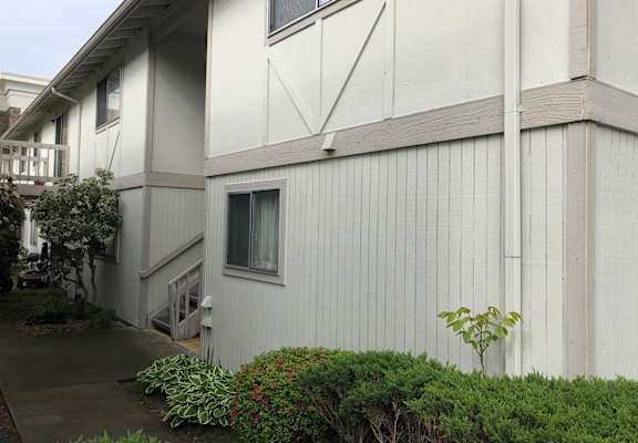 A white building with a small tree in front.