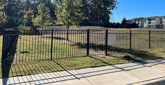 a yard in front of a fence with grass and trees