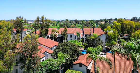 Top of Eucalyptus Grove