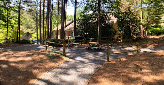 A playground with a slide and swings is surrounded by tall trees.